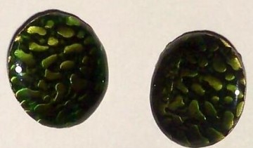 Oorclips, groen emaille