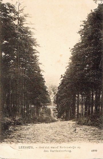 Leersum - Gezicht vanaf Nellensteijn op den Darthuizerberg