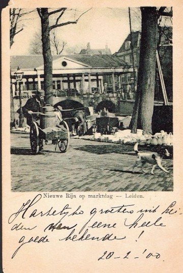 Leiden - Nieuwe Rijn op marktdag