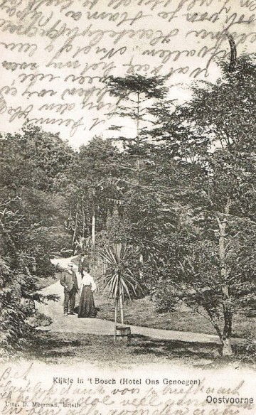 Oostvoorne - Kijkje in het Bosch (Hotel Ons Genoegen)