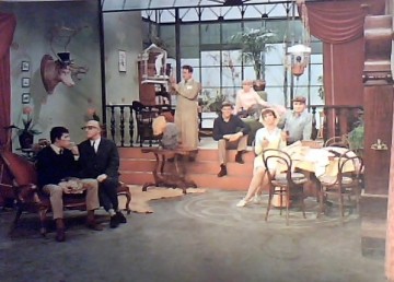 Ja zuster, nee zuster puzzel - Facet